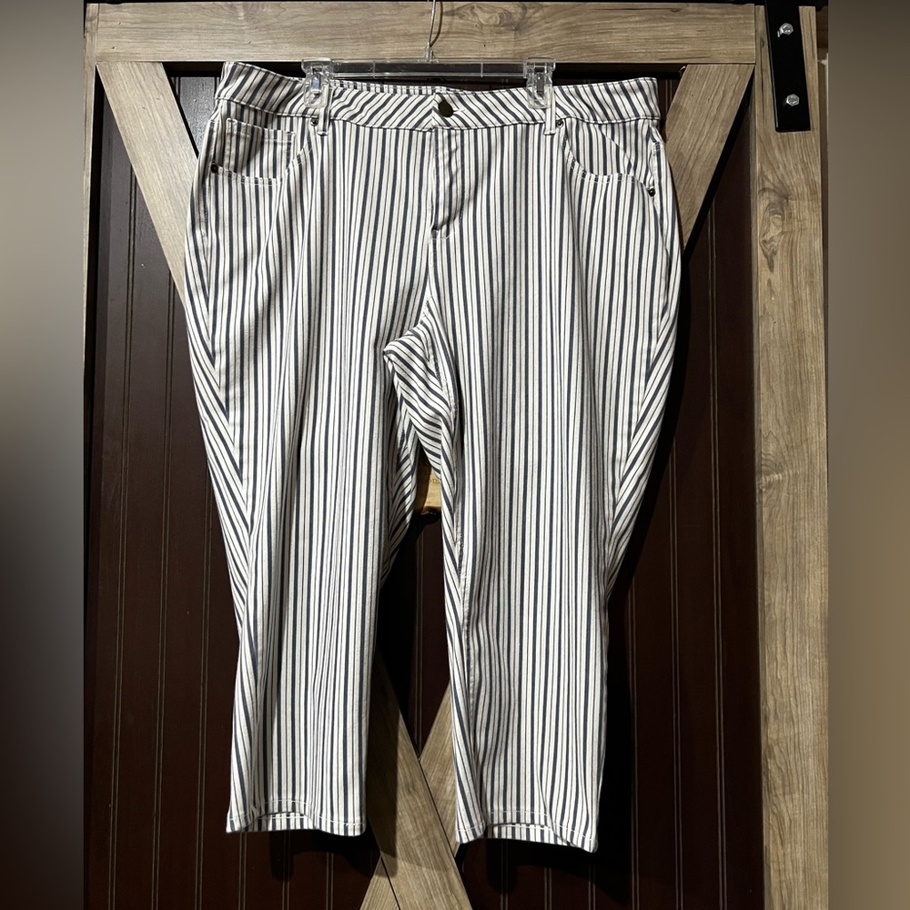 Lane Bryant Gray and White Striped Ankle Jeans Venezia 🩶🤍
